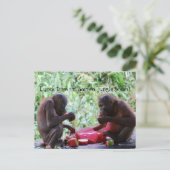 Carte Postale L'heure du déjeuner à l'école de la jungle de Born (Debout devant)