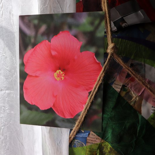 Carte Postale L'Hibiscus Tropical