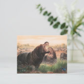 Carte Postale L'Hippopotame de Joseph Wolf (Debout devant)