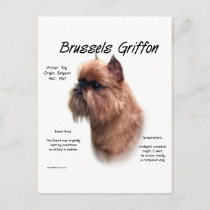 Carte Postale L'histoire bruyante du Griffon de Bruxelles