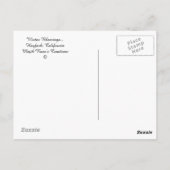 Carte Postale L'hiver à Hayfork, Californie... (Dos)