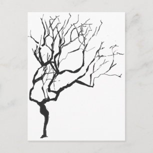 Carte Postale L'hiver arrive Dessin Minimalisme L'hiver