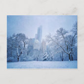 Carte Postale L'hiver dans le Central Park de New York (Devant)