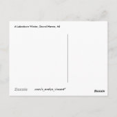 Carte Postale L'hiver Lakeshore (Dos)