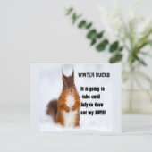 Carte Postale L'hiver suce (Debout devant)