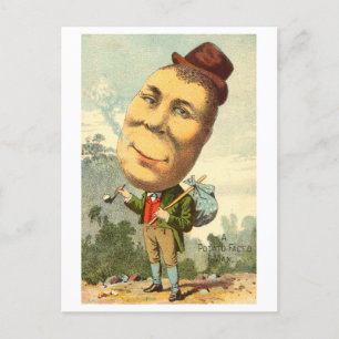 Carte Postale L'homme face à la pomme de terre Oddity Vintage