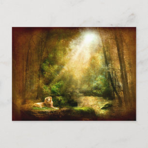 Carte Postale L'humilité du roi