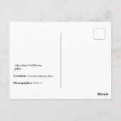 Carte Postale Li Garden Series - Le chemin floral (Dos)