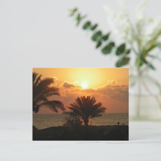 Carte Postale Liban (Debout devant)