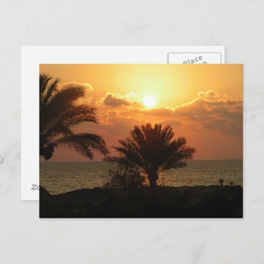 Carte Postale Liban (Devant / Derrière)