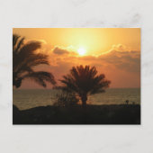 Carte Postale Liban (Devant)