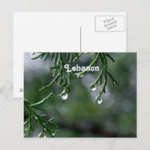 Carte Postale Liban (Devant / Derrière)