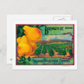 Carte Postale LibelléCashmere, WA (Devant / Derrière)