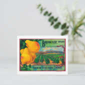 Carte Postale LibelléCashmere, WA (Debout devant)