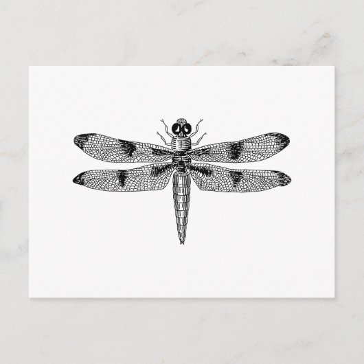 Carte Postale libellule (Devant)