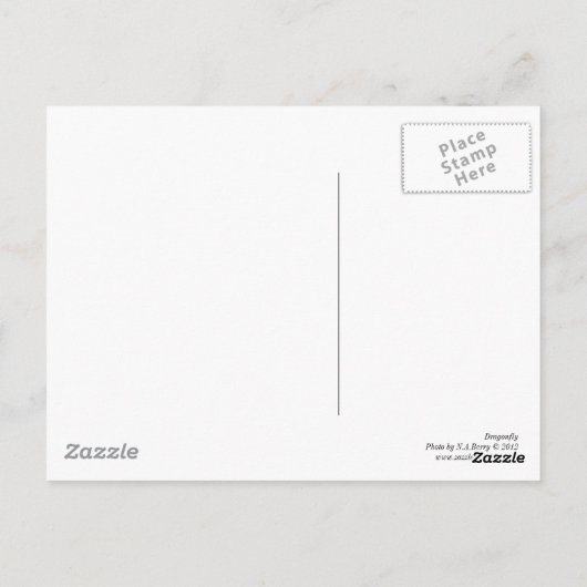 Carte Postale libellule (Dos)