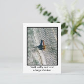 Carte Postale libellule (Debout devant)