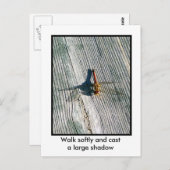 Carte Postale libellule (Devant / Derrière)