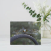 Carte Postale libellule (Debout devant)