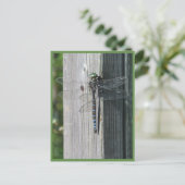 Carte Postale libellule (Debout devant)