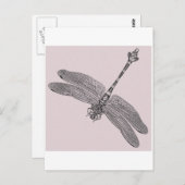 Carte Postale libellule (Devant / Derrière)