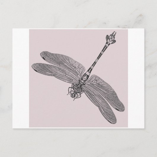 Carte Postale libellule (Devant)