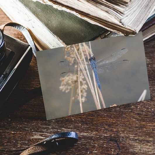 Carte Postale libellule bleue