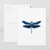 Carte Postale Libellule bleue - Ento amateur d'insectes faune (Devant / Derrière)