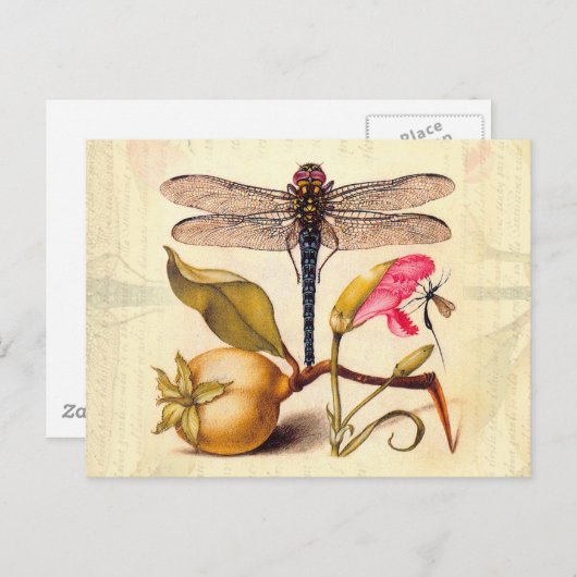 Carte Postale Libellule Botanique Nature Faune (Devant / Derrière)