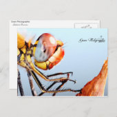 Carte Postale Libellule de Pourrières (Devant / Derrière)