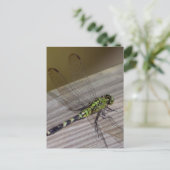 Carte Postale libellule d'insectes (Debout devant)