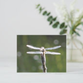 Carte Postale libellule gris clair (Debout devant)