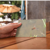 Carte Postale Libellule rouge posée sur une paille