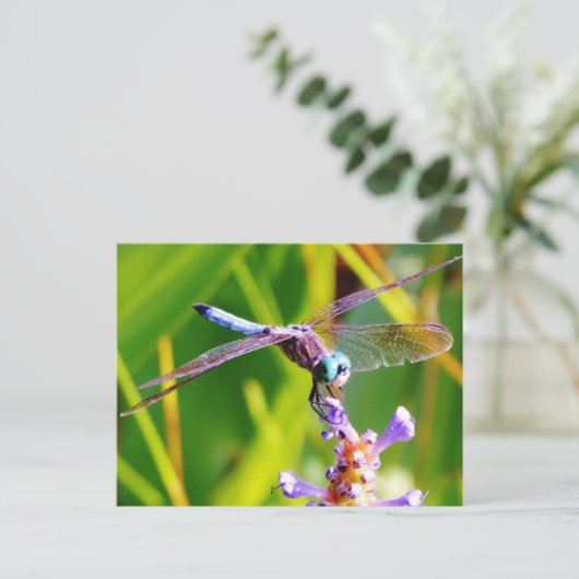 Carte Postale libellule turquoise et violette (Debout devant)