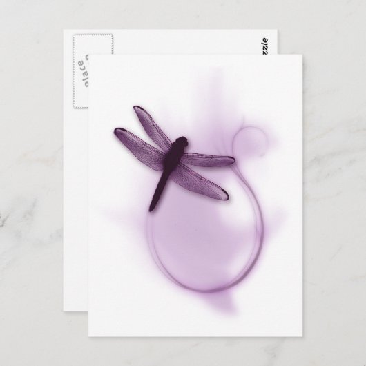 Carte Postale libellule violette (Devant / Derrière)