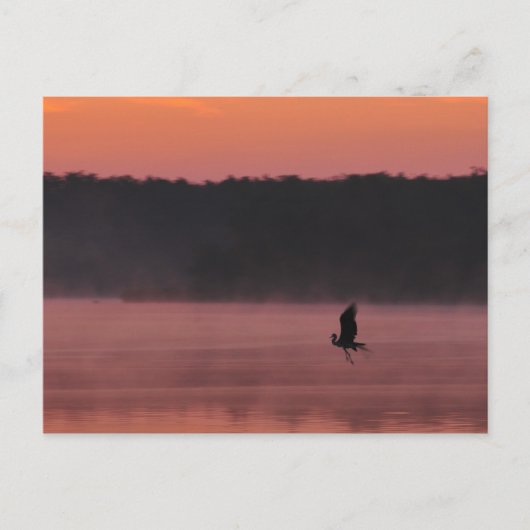 Carte Postale Liberté (Devant)