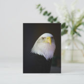 Carte Postale Liberté (Debout devant)