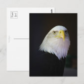 Carte Postale Liberté (Devant / Derrière)