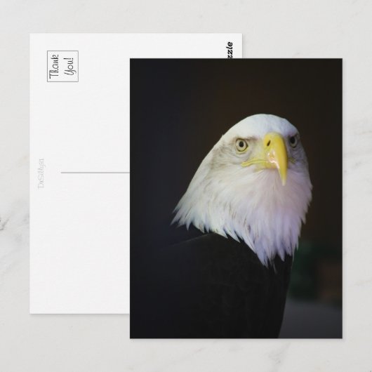 Carte Postale Liberté (Devant / Derrière)