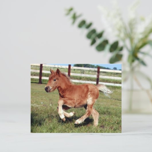 Carte postale Liberté (Debout devant)