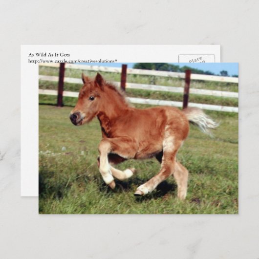 Carte postale Liberté (Devant / Derrière)