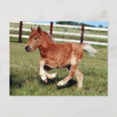 Carte postale Liberté (Devant)