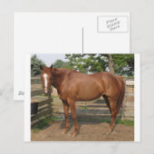 Carte Postale Liberté (Devant / Derrière)