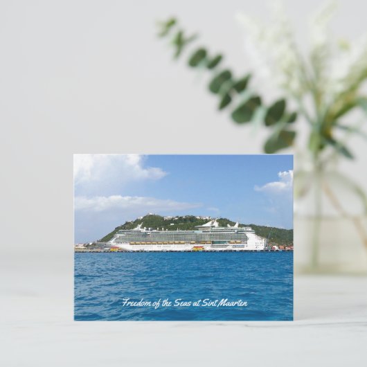 Carte Postale Liberté à Saint-Martin (Debout devant)