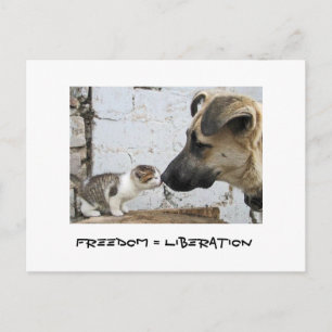 Carte Postale Liberté = Libération