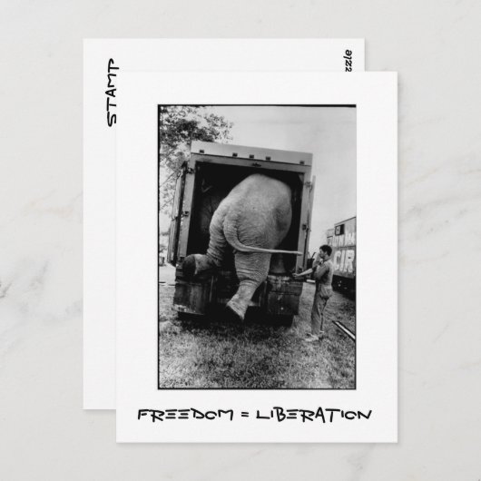 Carte Postale Liberté = libération (Devant / Derrière)