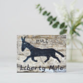 Carte Postale Liberty Mule - Liberty, TN (Debout devant)