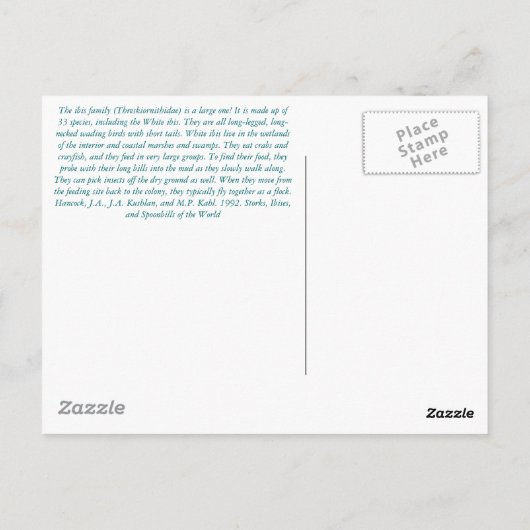 Carte Postale L'Ibis Blanc... (Dos)