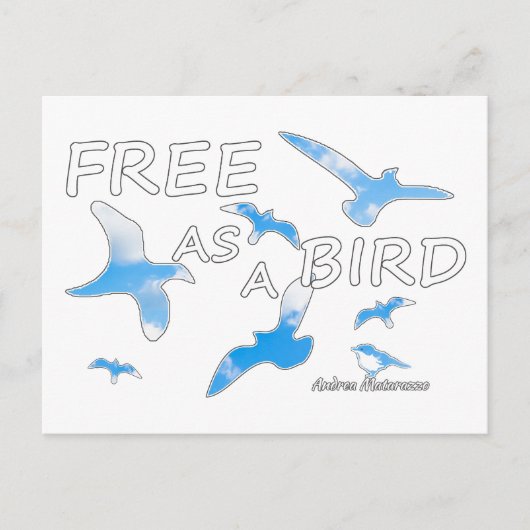 Carte Postale Libre comme un oiseau 2 (Devant)