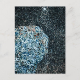 Carte Postale Lichen bleu-vert sur une surface sombre
